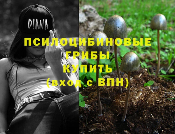 мяу мяу мука Алзамай