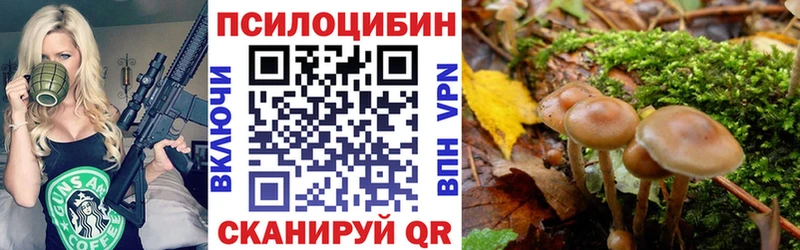 даркнет сайт  Болгар  Псилоцибиновые грибы мухоморы 